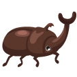 キラキラ