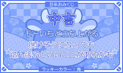 おみくじ